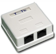 Розетка RJ-45+RJ-45 открытый монтаж категория 5e, экранированная, TWT (TWT-SM2-4545/S-WH)