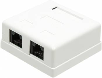 Розетка RJ-45+RJ-45 открытый монтаж категория 6, экранированная, TWT (TWT-SM2-4545/S6-WH)