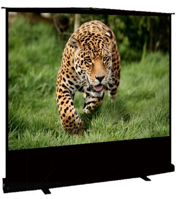 

Экран для проектора напольный рулонный Sakura-Printing CINEMA Floor Stand 100", 16:9, 221x125см, черный (SCPSF-221x125), SCPSF-221x125