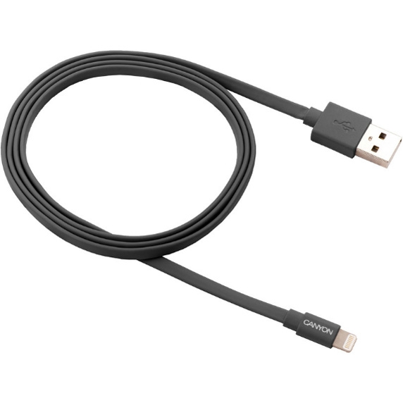 

Кабель USB-Lightning 8-pin, Canyon , 1m, серый (CNS-MFIC2DG)