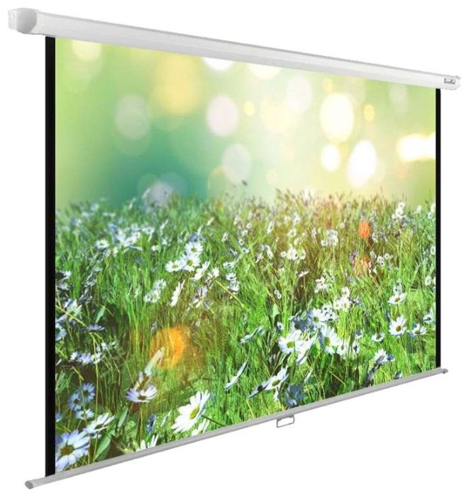 

Экран для проектора Cactus 200x200см WallExpert CS-PSWE-200x200-WT 1:1 настенно-потолочный рулонный (CS-PSWE-200X200-WT), CS-PSWE-200x200-WT