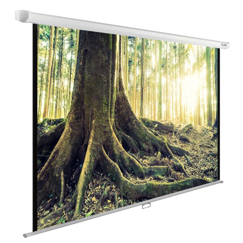 

Экран для проектора Cactus 220x220см WallExpert CS-PSWE-220x220-WT 1:1 настенно-потолочный рулонный (CS-PSWE-220X220-WT), CS-PSWE-220X220-WT