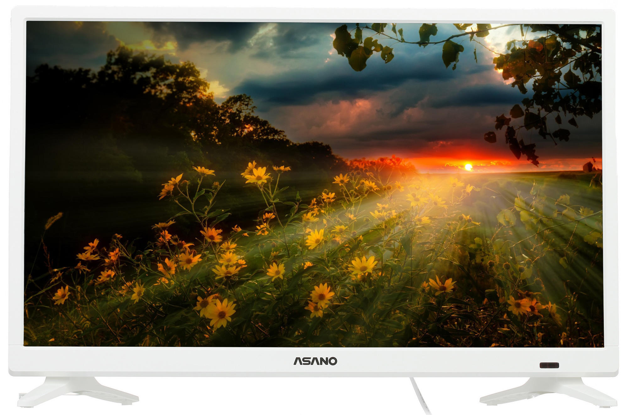 Телевизор 24" Asano 24LH1011T, HD, 1366x768