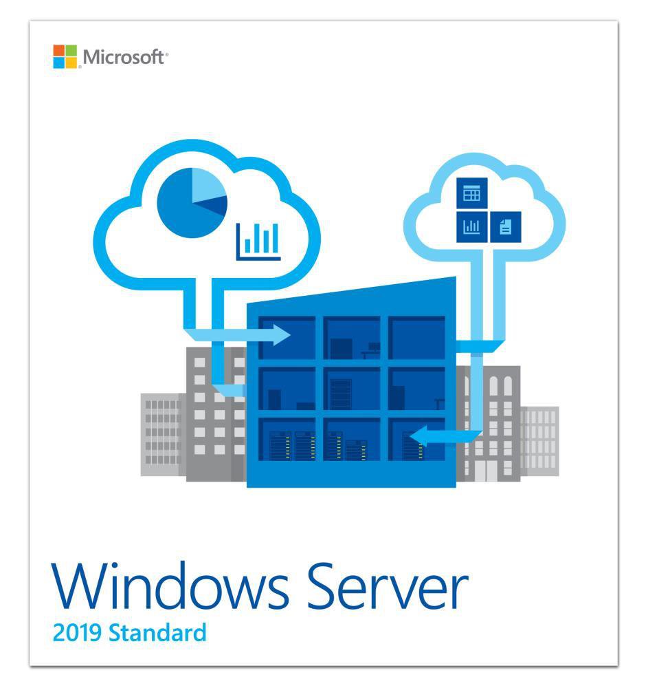 Лицензия Microsoft Windows Server 2019 Standard, Russian (P73-07680)