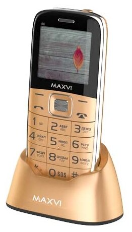 

Мобильный телефон MAXVI B6, 2.2" TFT, 32Mb RAM, 32Mb, 2-Sim, 1400 мА·ч, micro-USB, золотистый, B6