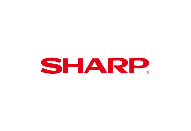

Ракель Sharp AR150CB для AR-120E/150E/150/155/5420/203 (UCLEZ0013QSZZ/CCLEZ0013QS01), AR150CB