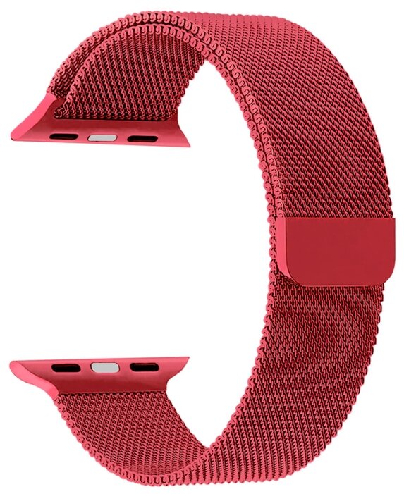 

Ремешок Lyambda Capella для Apple Watch, нержавеющая сталь, красный (DS-APM02-44-GS)