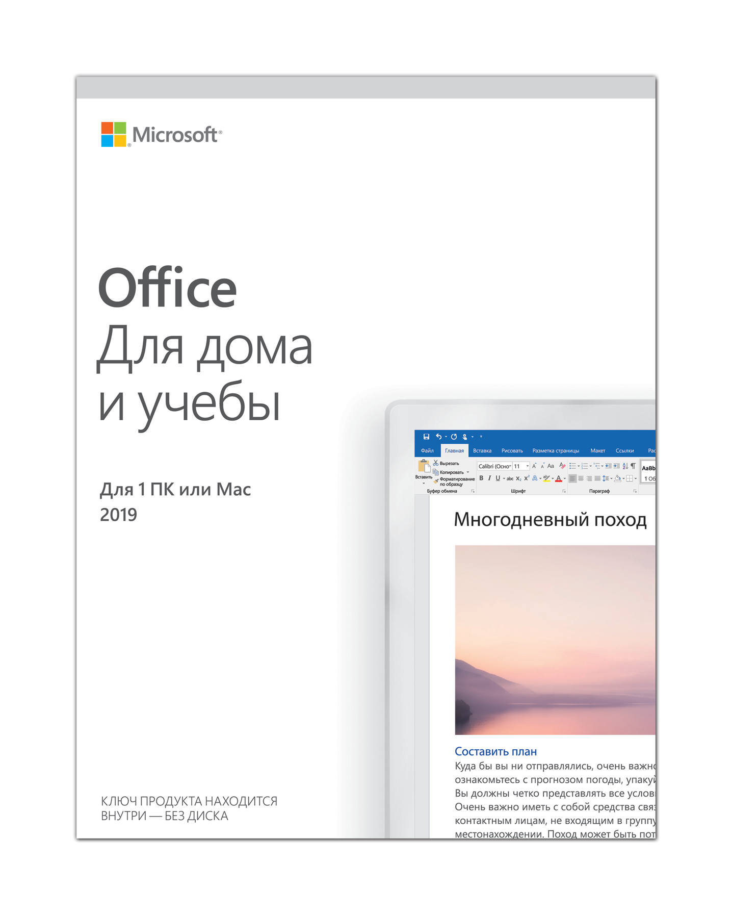 Офисный пакет Microsoft Office 2019 для дома и учебы, All Languages, на 1  ПК, 646278 купить в Томске в интернет-магазине e2e4