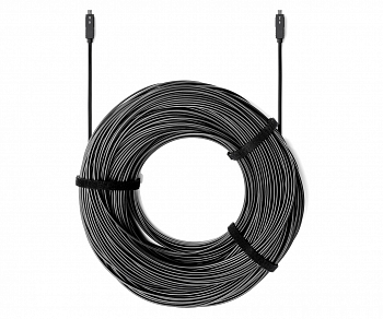 

Активный оптоволоконный кабель HDMI D (M)-HDMI D (M), 4K UHD 2160p (4K/60Гц (4: 4: 4)), 1080p, 3D, 21: 9 (True cinema), 30м, черный Wize AOC (WHD20-DD-K-30)