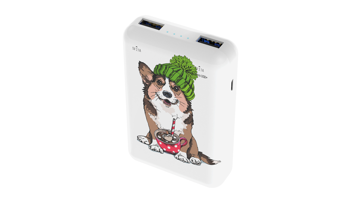 

Портативный аккумулятор (Powerbank) Ritmix RPB-10007 Corgi, 10000mAh, 2xUSB, 2.1A, белый, RPB-10007 Corgi