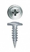 

Саморез ПШМ металл 4.2 мм x 1.9 см (PH2), 450 шт., картонная коробка, ЗУБР Мастер (4-300191-42-019)