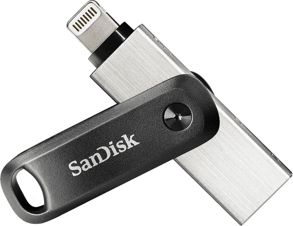 

Флешка 256Gb USB 3.0/Lightning Sandisk iXpand Go, серебристый (SDIX60N-256G-GN6NE), iXpand Go