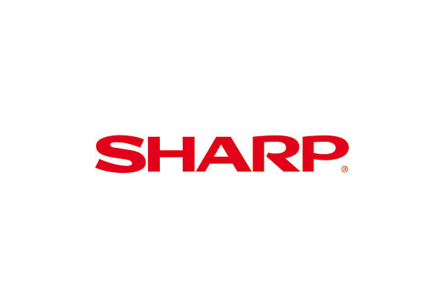 Фетровый ролик Sharp для Sharp AR160/161/163/205/5015/5316/5320, 1шт. (CPLTM0255QS01/CPLTM0255QS03)