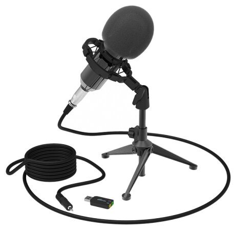 

Микрофон Ritmix RDM-160, конденсаторный, черный (80000132), RDM-160
