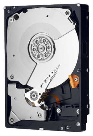 Жесткий диск (HDD) Western Digital 500Gb Black, 3.5", 7200rpm