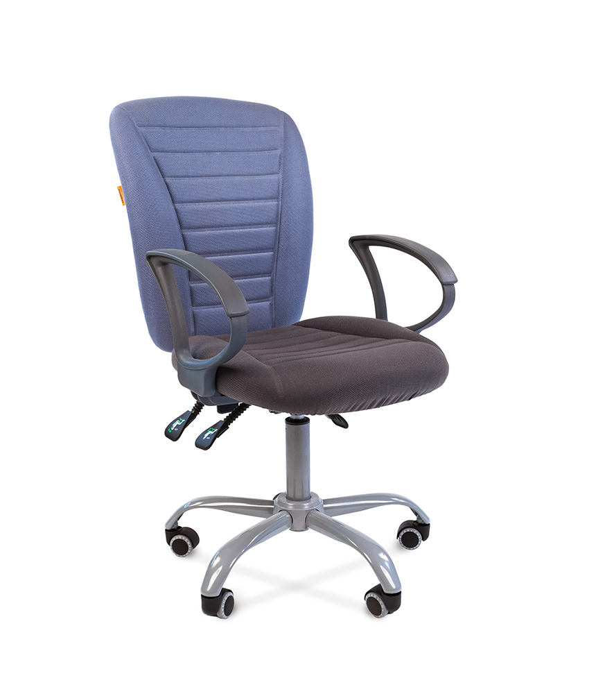 

Кресло офисное Chairman 9801 ERGO серый/голубой (00-07015600), ERGO