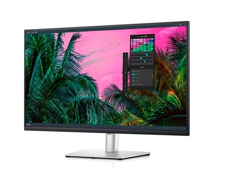 

Монитор 31.5" DELL P3221D IPS, 2560x1440 (16:9), 350кд/м2, 5мс, 178°/178°, HDMI, DisplayPort, USB Type-C, USB-Hub, черный/серебристый (3221-9473), P3221D