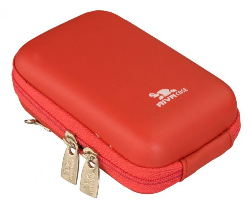 RIVA case