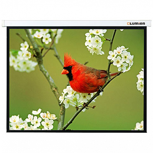 Экран для проектора Lumien Master Picture 16:10 191x300