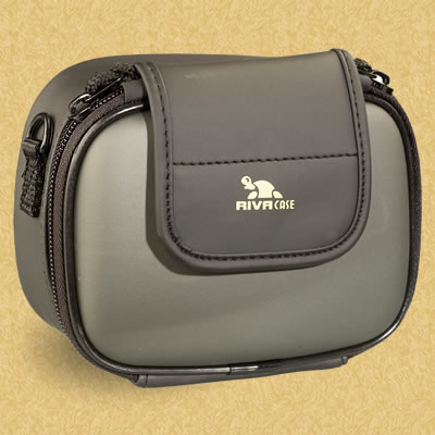 RIVA case