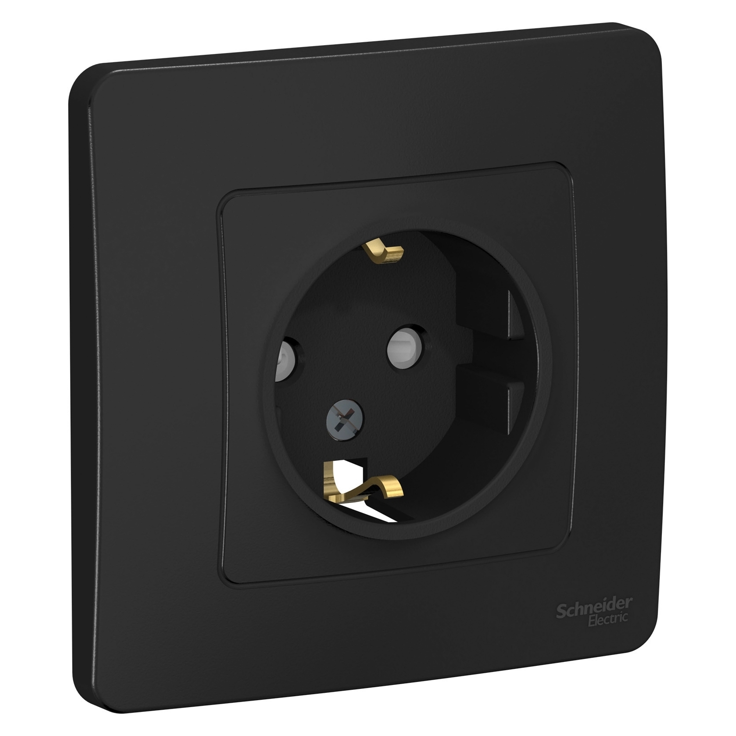 

Розетка Schneider Electric Blanca, скрытый монтаж, однопостовая, с з/к, со шторками, 16A, в сборе, IP20, черный (BLNRS001116)