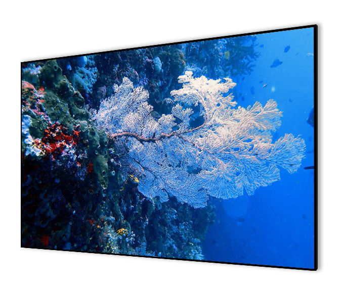 

Экран для проектора на раме Cactus Apollo Alr Expert, настенный, 120" 16:9 267x151 (CS-PSALR-267X151), Alr Expert