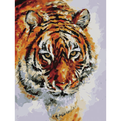 Картина по номерам 40х50 см, ОСТРОВ СОКРОВИЩ "Тигр"