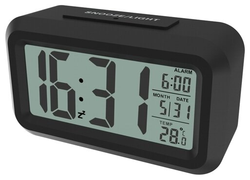 Метеостанция, Ritmix CAT-100