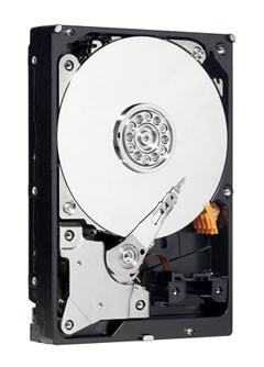 Жесткий диск (HDD) Western Digital 1Tb (WD AV-GP 1 TB (WD10EVDS))