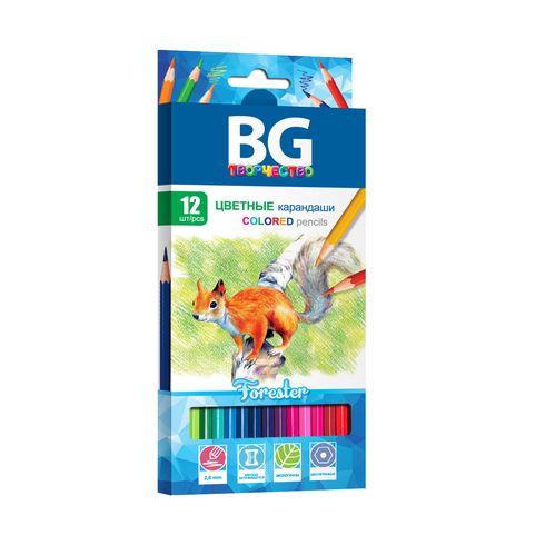 Набор цветных карандашей БиДжи BG FORESTER, шестигранные, 12 шт. (KR12C 4646)