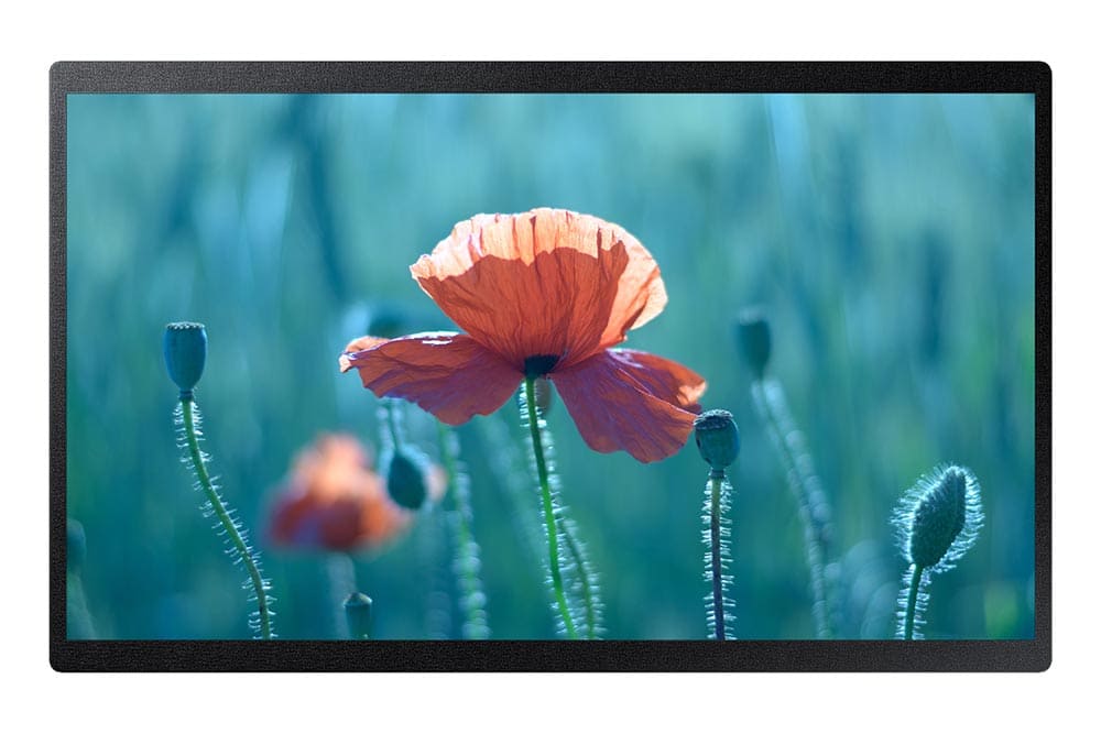 

Рекламный дисплей 23" Samsung QB24R, FullHD, 1920x1080, 250кд/м2, 14 мс, Rj-45, HDMI, USB, черный (QB24R), QB24R