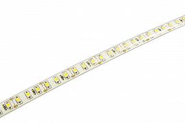 

Лента светодиодная 2859112, 5м, SMD 2835, 120шт./12Вт на метр, 12V, 3500К, белый, IP65 JazzWay (2859112), 2859112