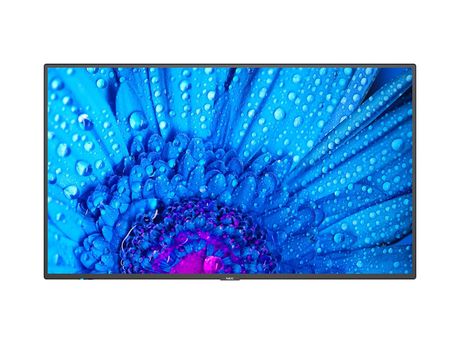 

Панель 55" NEC MultiSync, 4K, 3840x2160, 500кд/м2, 8мс, Rj-45, HDMI, DisplayPort, USB, черный (M551), MultiSync
