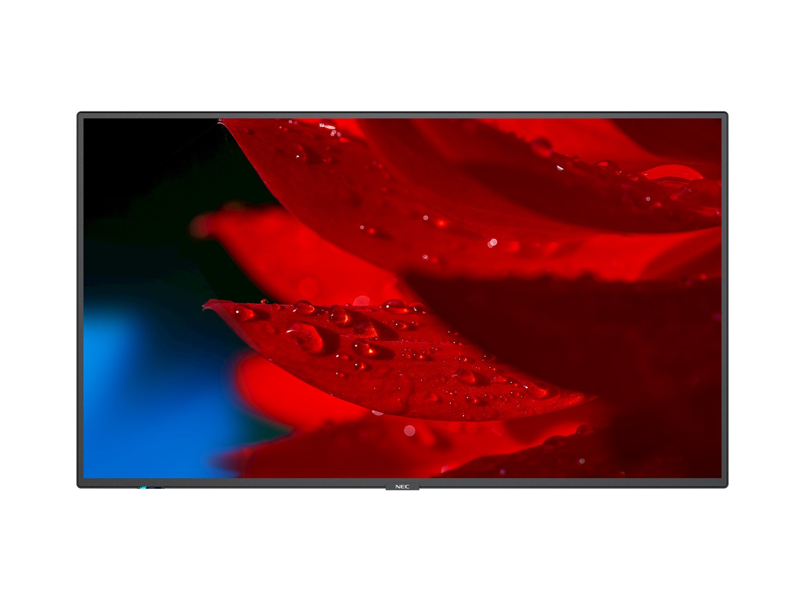

Панель 49" NEC MultiSync, 4K, 3840x2160, 500кд/м2, 8мс, Rj-45, HDMI, DisplayPort, USB, черный (MA491), MultiSync