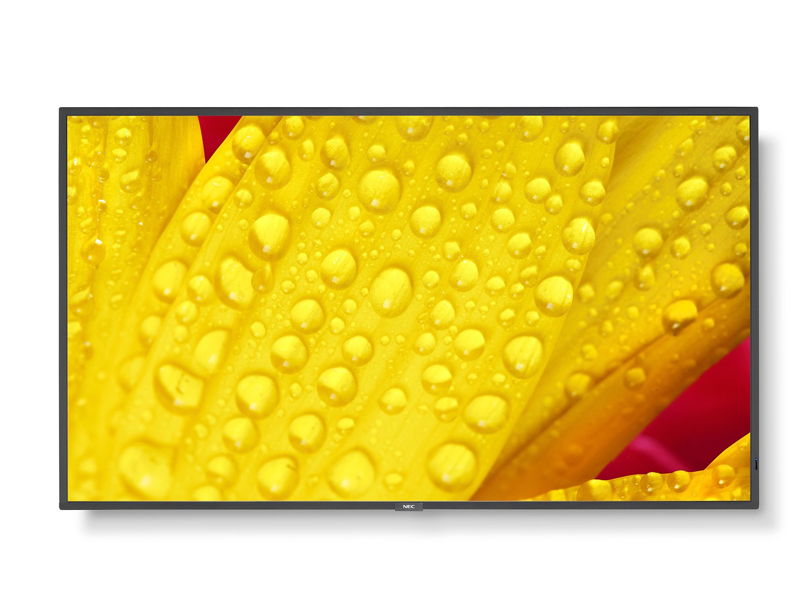 

Панель 65" NEC MultiSync, IPS, 4K, 3840x2160, 400кд/м2, 8мс, Rj-45, HDMI, DisplayPort, USB, черный (ME651), MultiSync