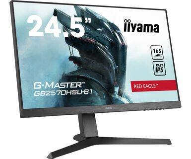 Монитор Iiyama GB2570HSU-B1 (GB2570HSU-B1)