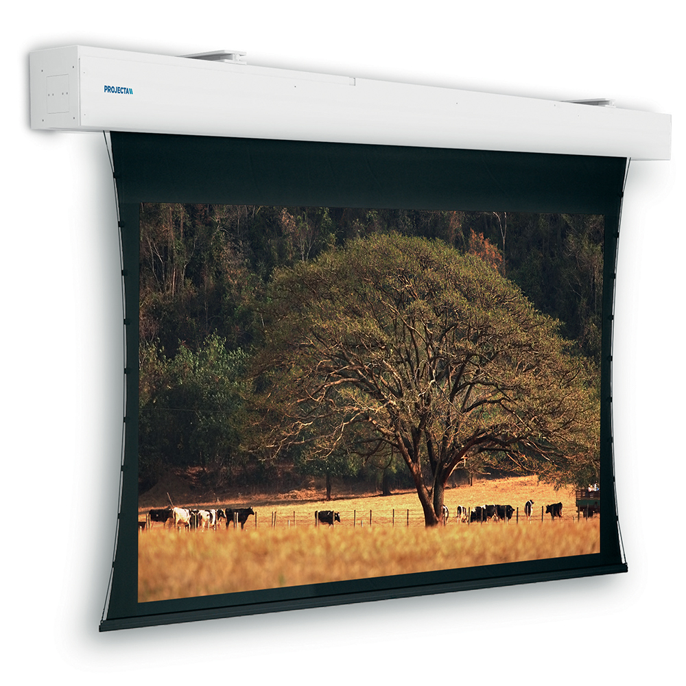 Экран для проектора PROJECTA Large Electrol 151x400