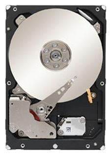Жесткий диск (HDD) Seagate 1Tb Constellation (ST1000NM0033)
