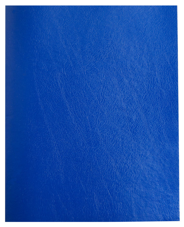 Тетрадь клетка A5 96 листов, скрепка, поля, обложка бумвинил - бумвинил, синий цвет, BURO (1511768)