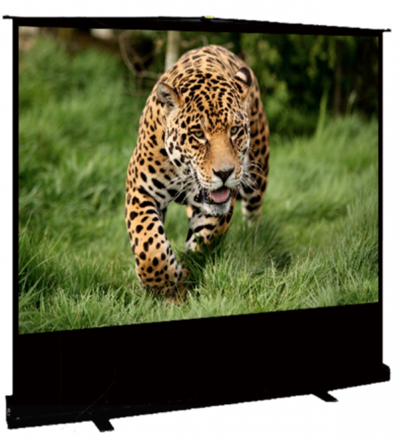

Экран для проектора переносной Sakura-Printing Standscreen SCPSF-122x163, напольный, 80" 4:3 163x122 MW (SCPSF-122x163), SCPSF-122x163
