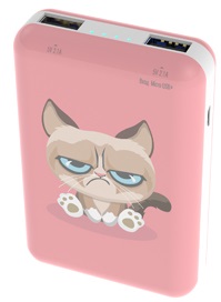 

Портативный аккумулятор (Powerbank) Ritmix RPB-10007 Grumpy Cat, 10000mAh, 2xUSB, 2.1A, принт, RPB-10007 Grumpy Cat
