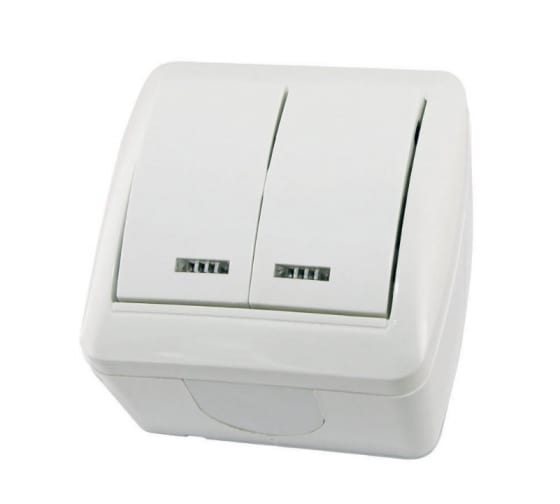 Выключатель TDM Селигер, 2кл., индикатор/подсветка, открытый монтаж, в сборе, белый (SQ1818-0004)
