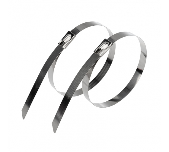 

Стяжка Rexant, 4.6мм x 30см, 50шт., нержавеющая сталь, серебристый (07-0308)