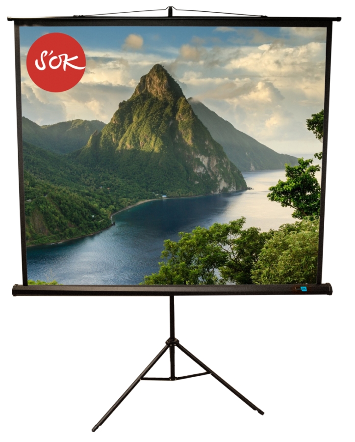 Экран для проектора S'OK SCPST-180x180BLCK, 100" 1:1 180x180