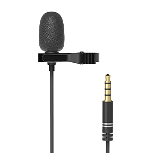 

Микрофон Ritmix RCM-110, конденсаторный, черный, RCM-110