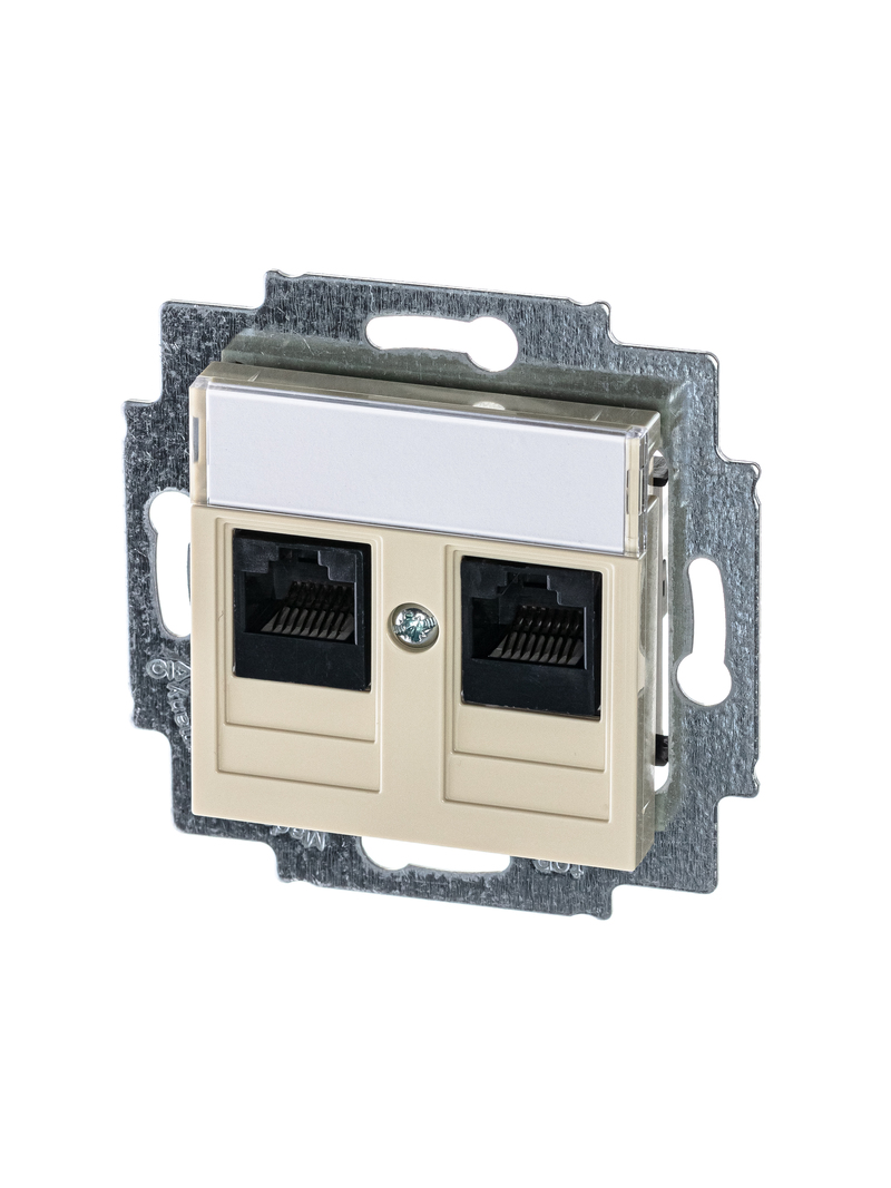 

Розетка RJ-45+RJ-45 скрытый монтаж категория 5e, механизм без рамки, слоновая кость, ABB (2CHH295118A6017), 0