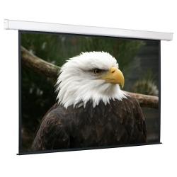 

Экран для проектора рулонный ScreenMedia Champion 274x206 MW, настенно-потолочный моторизированный 4:3 274x206 MW, экран, эл.привод (SCM-4305), Champion 274x206 MW