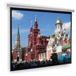 Экран для проектора Lumien Master Picture 1:1 244x244