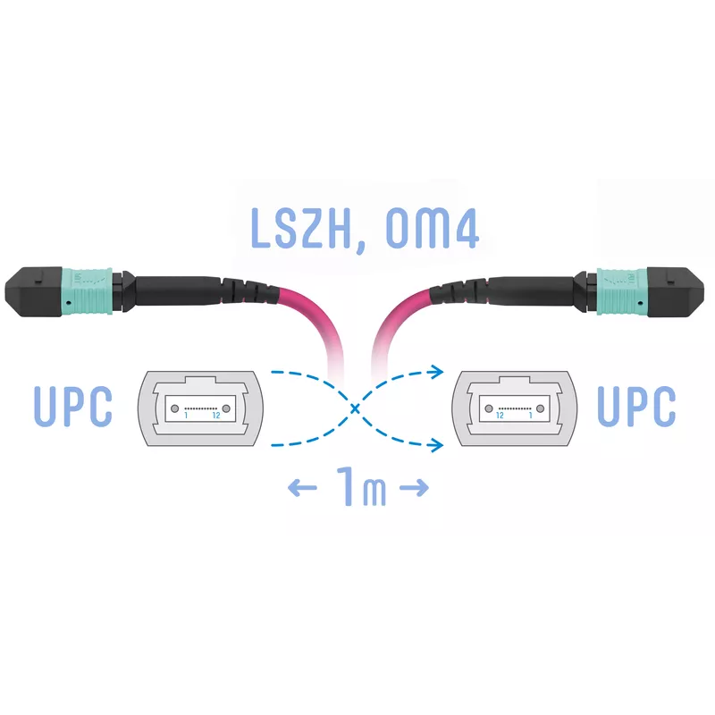 Патч-корд оптический SNR, MPO/UPC-MPO/UPC, многомодовый, 50/125, OM4, 12 волокон, 1м, пурпурный (SNR-PC-MPO/UPC-MPO/UPC-FF-MM4-12F-1m)