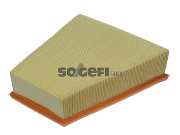 

Воздушный фильтр FRAM, панельный для Seat (CA9431), 0